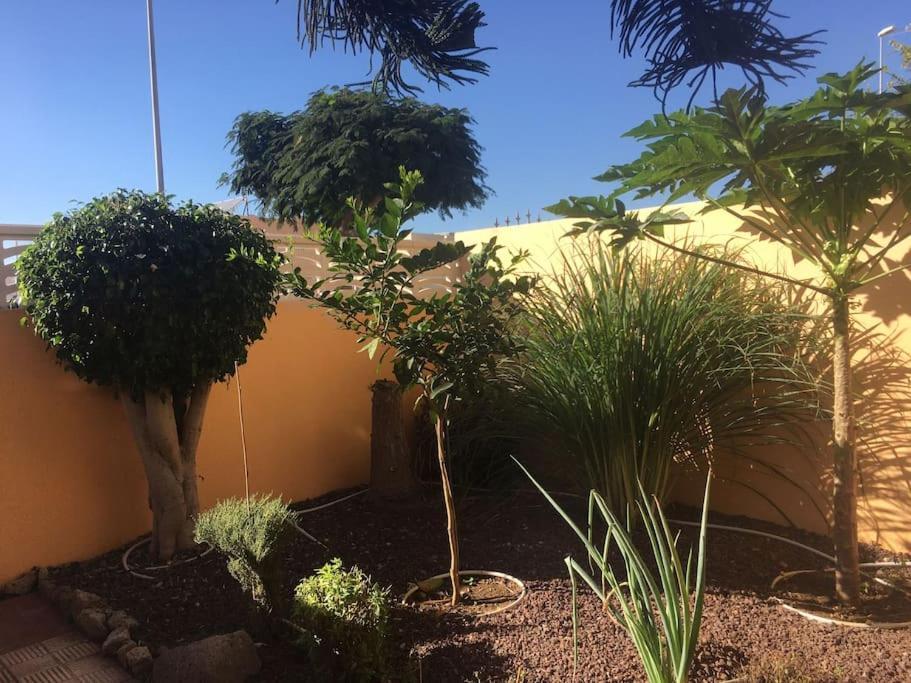 Independiente Estudio En Acogedora Casita De Mai Costa Adeje  Exteriör bild