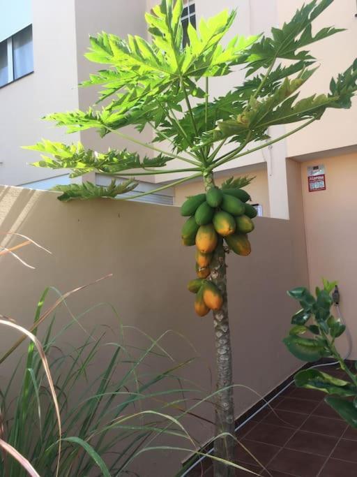 Independiente Estudio En Acogedora Casita De Mai Costa Adeje  Exteriör bild