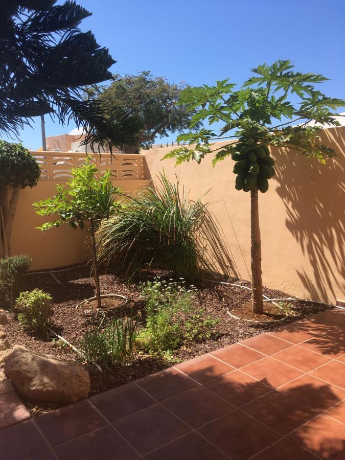 Independiente Estudio En Acogedora Casita De Mai Costa Adeje  Exteriör bild