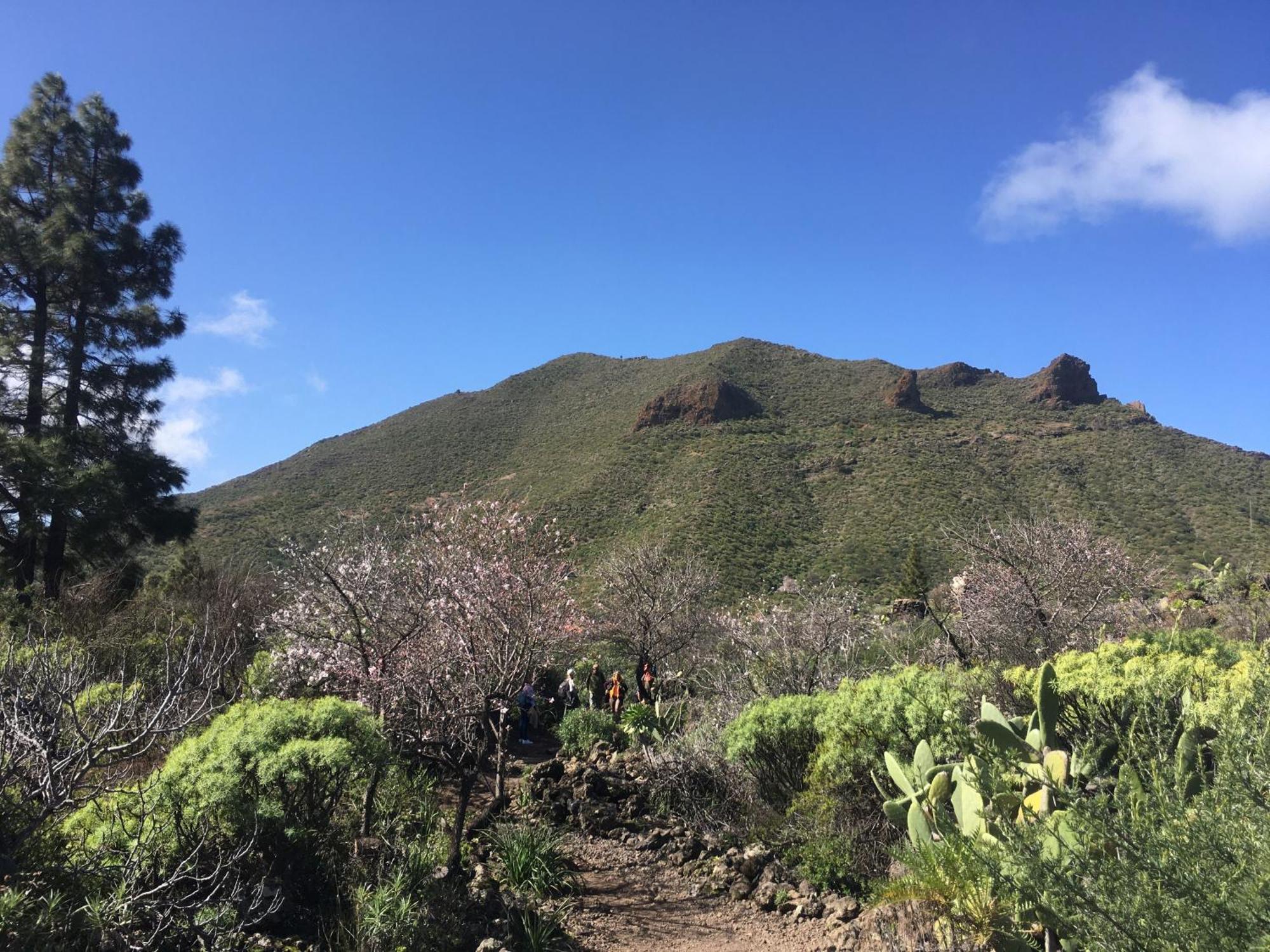 Independiente Estudio En Acogedora Casita De Mai Costa Adeje  Exteriör bild
